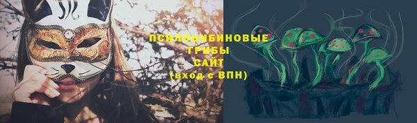 МДПВ Алзамай