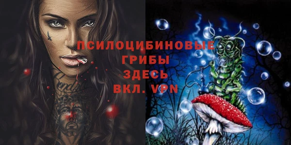 МДПВ Алзамай