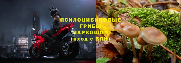 гидропоника Алексин